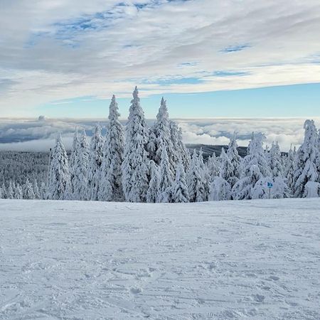 Chata Jeleni Drevenice S Vlastni Virivkou Horni Halze Екстер'єр фото