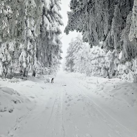 Chata Jeleni Drevenice S Vlastni Virivkou Horni Halze Екстер'єр фото